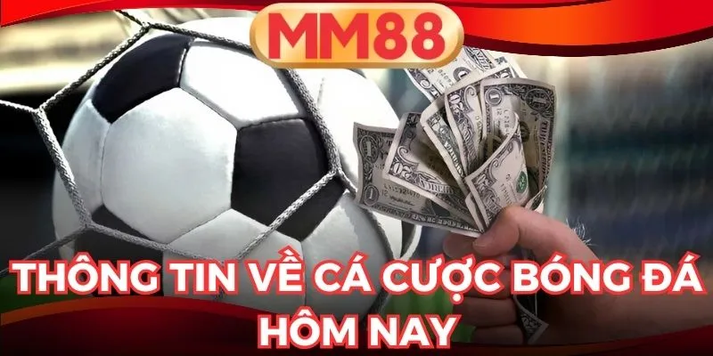 cá cược bóng đá hôm nay
